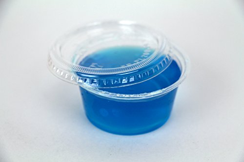 125 Pack-4.0oz Portion Cups with Lids Clear Plastic Condiment Cups Sauce Cups Disposable Souffle Cups Jello Shot Cups 